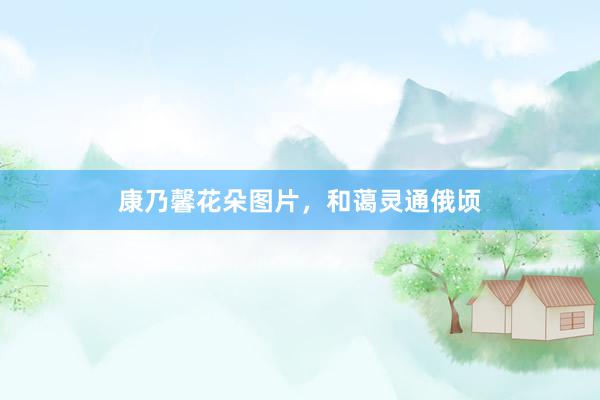 康乃馨花朵图片，和蔼灵通俄顷